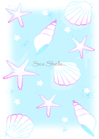 海のきれいな貝殻