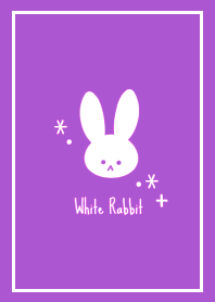 White Rabbit THEME /106