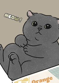 neko single21 / khaki