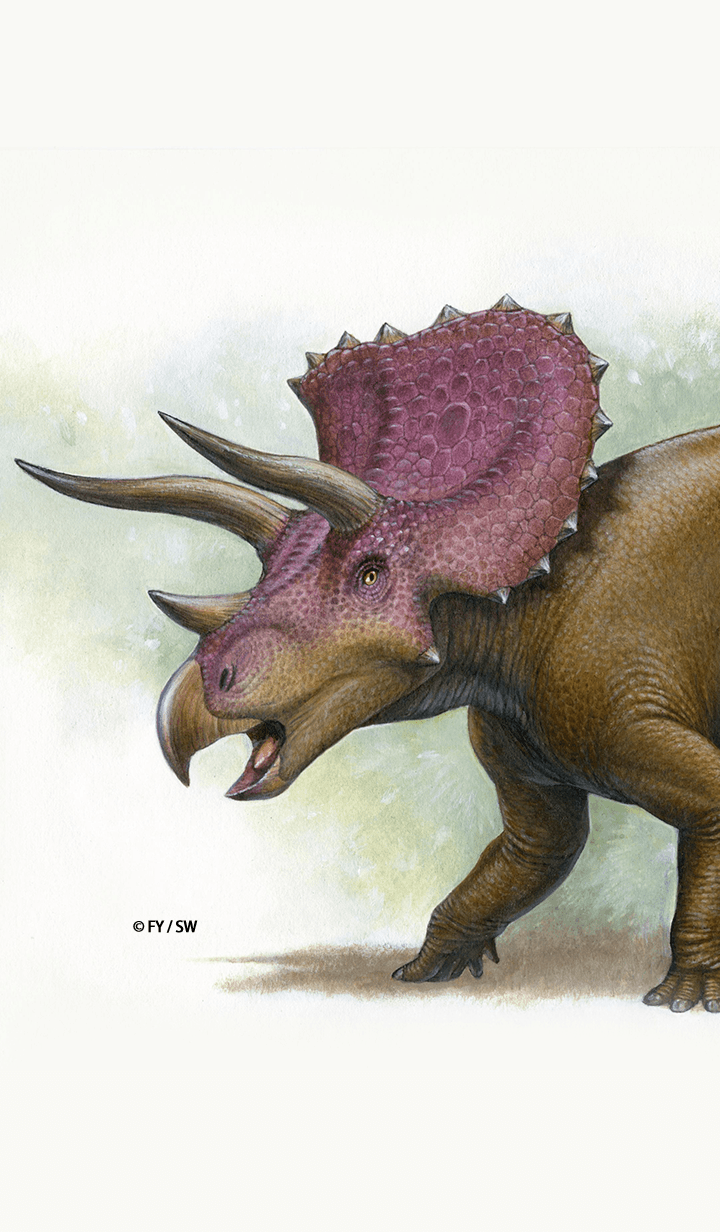 Dinosaur Marginocephalia