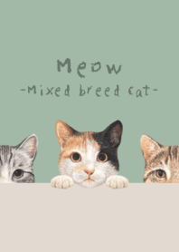 Meow - Mixed breed cat 01 - DUSTY GREEN