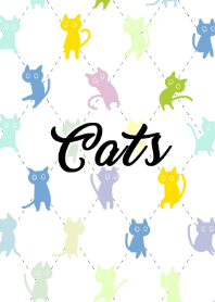 Lots of colorful  (Cat & Mimosa)