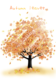 Autumn leaves ～紅葉～