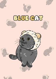 bluecat2 - peach pink
