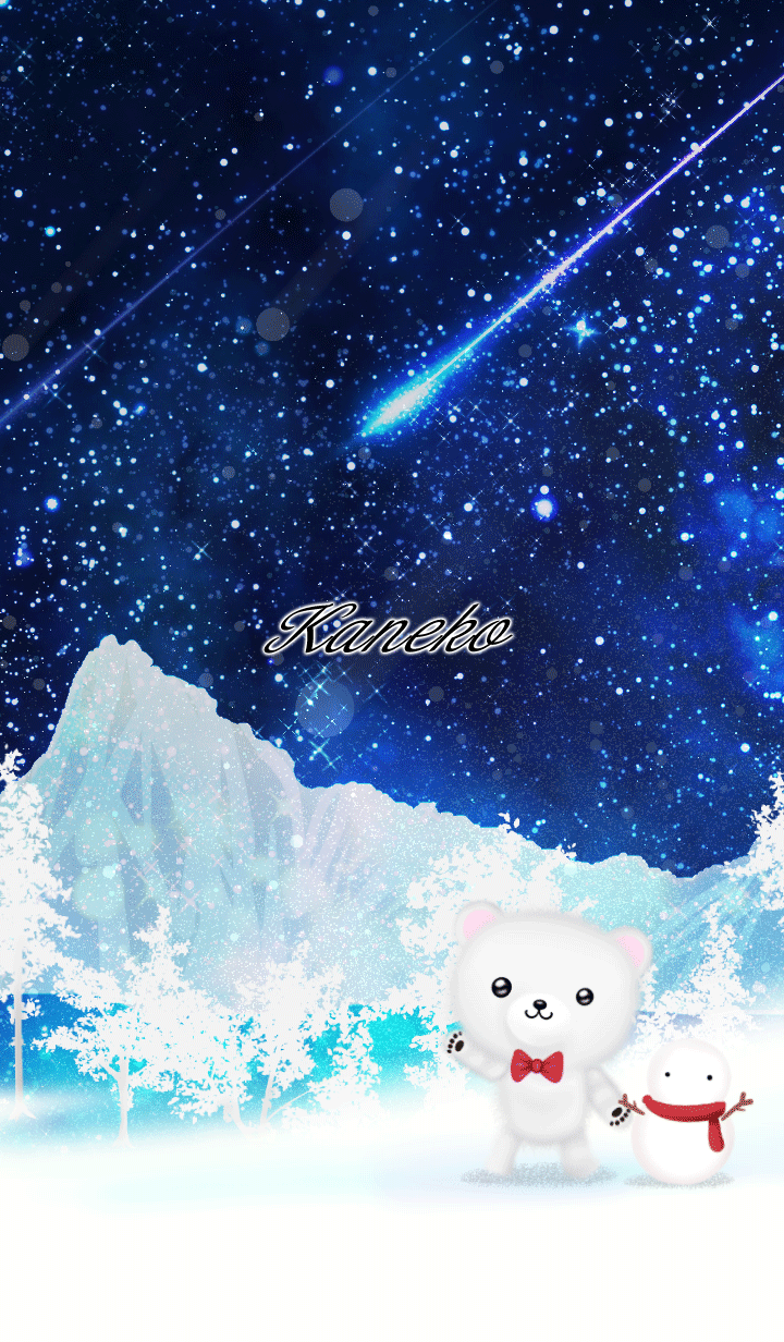 Kaneko Polar bear winter night sky