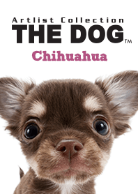THE DOG チワワ