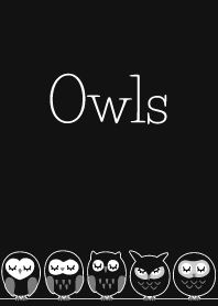 Owls black