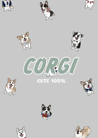 corgicorgi7 / grey