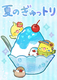Cute bird summer