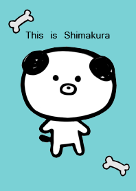 This is Shimakura.