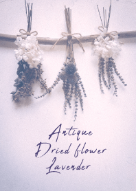 Antique Dried flower_lavender