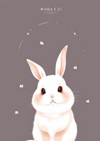 Cute Rabbit 6QMbJ