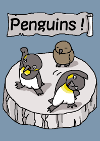 ペンギンたち！