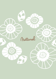 Flowers Autumn sky high12 from Japan