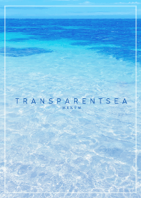 TRANSPARENT SEA 6