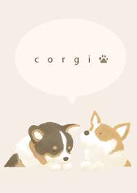 ひょっこりコーギー