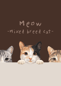 Meow - Mixed breed cat 01 - DARK BROWN