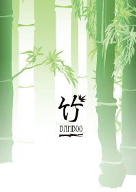 Bamboo(Zen mind)