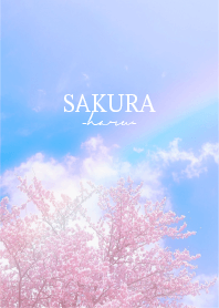 Sakura-Haru- 3