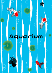 Aquarium goldfish