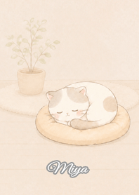 Cozy Lazy Cat: Miya