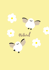 Long-tailed tit White anemone7 Japan