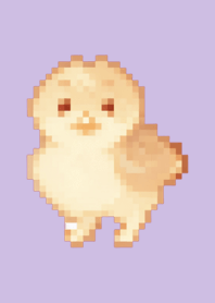 Chick Pixel Art Theme  Purple 04