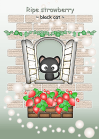 Ripe strawberry... "black cat"