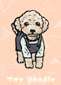 Fluffy cute toy poodle