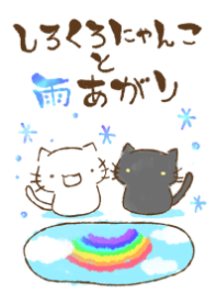 white cat and black cat16