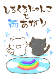しろくろにゃんこと雨あがり