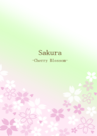 Spring Cherry blossoms-Sakura-