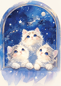 窗邊夢幻星空小奶貓❤️藍色
