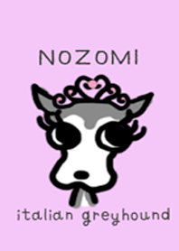 NOZOMI in italian greyhound