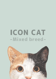 ICON CAT -Mixed breed cat- PASTEL GR/04