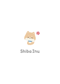 Shiba Inu3 Flower [White]