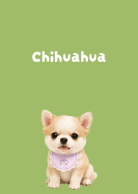 I love Chihuahuas02 moss green