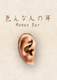 色んな人の耳