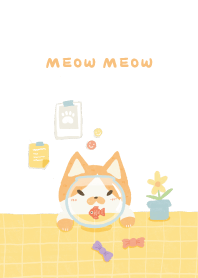 Meow meow universe (Orange tabby Daily)