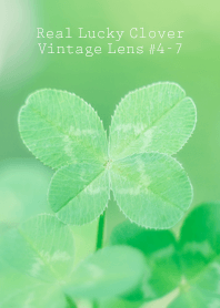 四つ葉のクローバー Vintage Lens #4-7