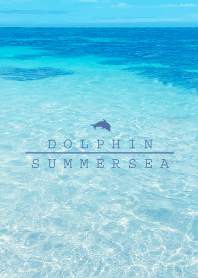 SUMMER SEA-HAWAII BLUE DOLPHIN 30