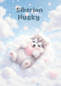 Pretty Siberian Husky In Sky Land