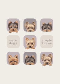 DOGS - Yorkie - PURPLE GRAY