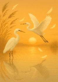 Morning Egret