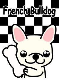 Cute French Bulldog