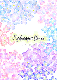 Flores do Hydrangea