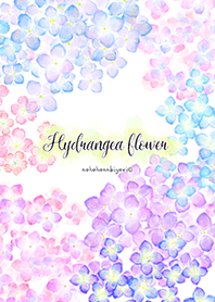 あじさいの花