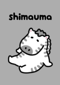 Cute black and white zebra theme