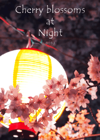 Cherry blossoms at Night from Japan