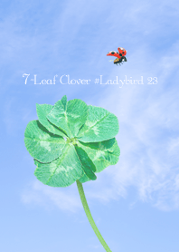 7-Leaf Clover #Ladybird 23